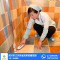 找保洁员,专业保洁员助力家庭清洁无忧