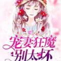 宠妻狂魔别太坏,狂魔别太坏的甜蜜日常