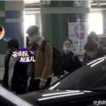 娱乐吃瓜美女助理,娱乐圈美女助理的崛起与蜕变