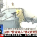 蓝可儿事件真相大白,揭开神秘失踪背后的惊人真相
