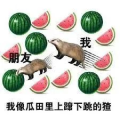 吃瓜网分享,吃瓜网独家分享幕后故事