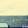 云南铜业,探寻云南铜业的辉煌历程与未来展望